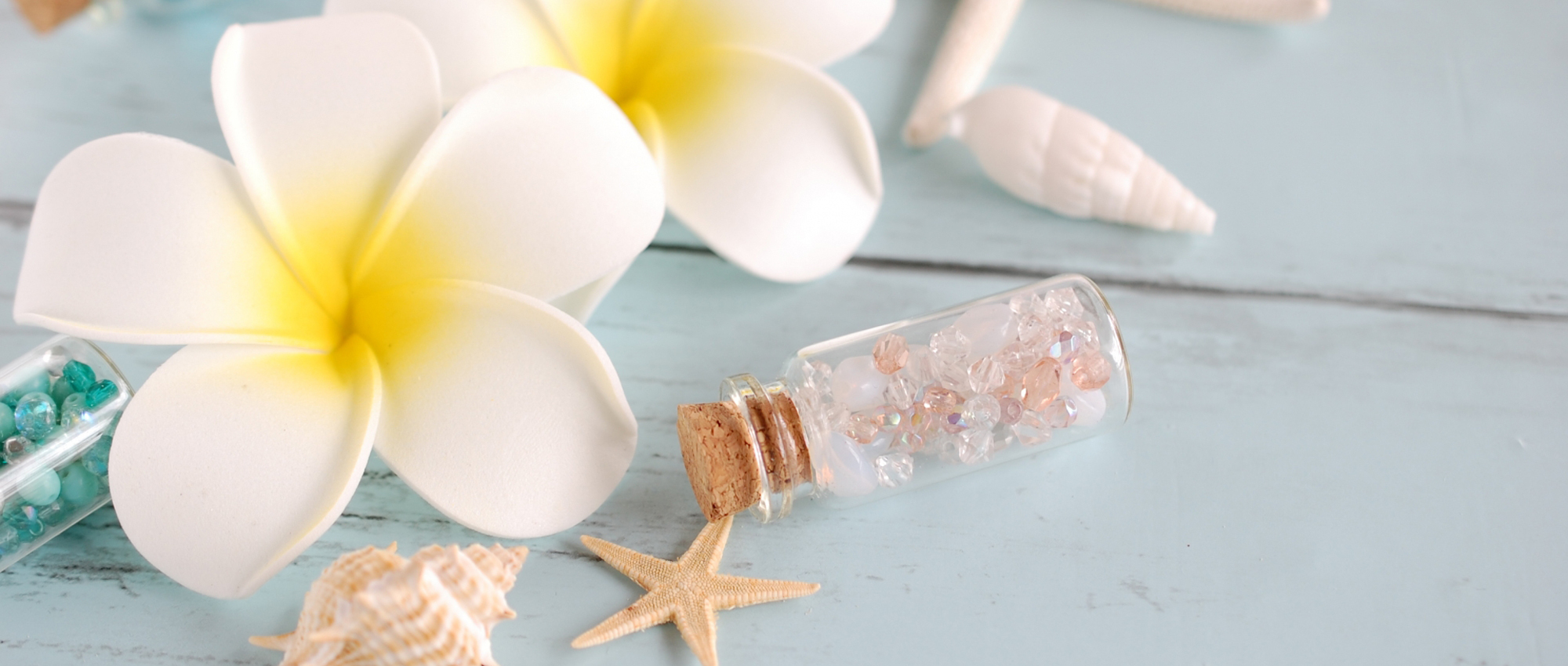 上北郡六戸町小松ヶ丘、調剤薬局運営