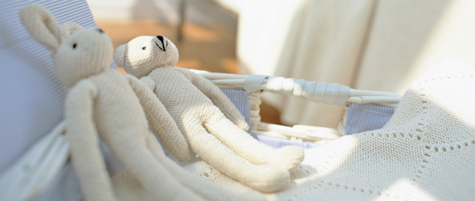 上北郡六戸町小松ヶ丘、調剤薬局運営